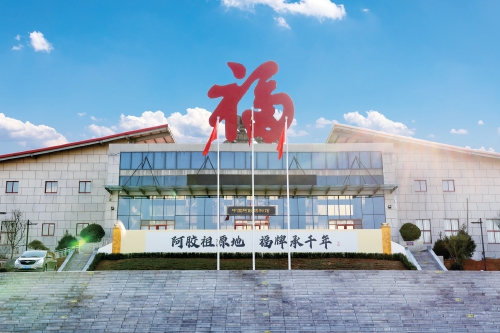 在传承中创新，擘画大健康产业蓝图 福胶集团：大健康产业撬动工业旅游新引擎