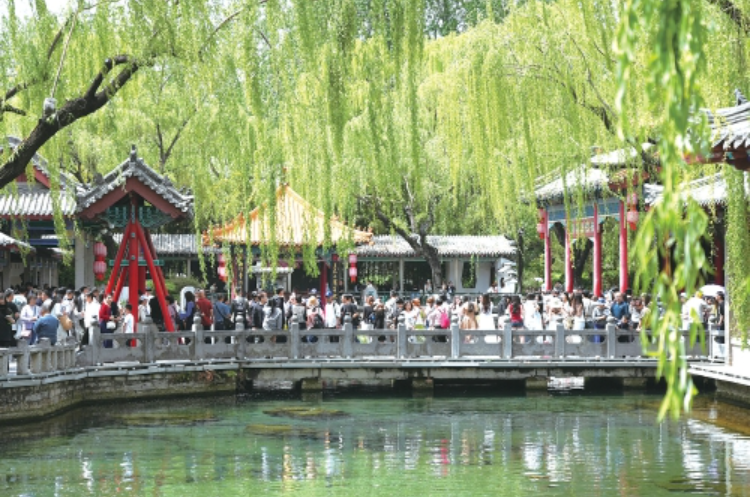 趵突泉畔觅清凉