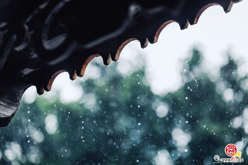 二十四节气 谷雨｜谷雨辞春，万绿迎夏