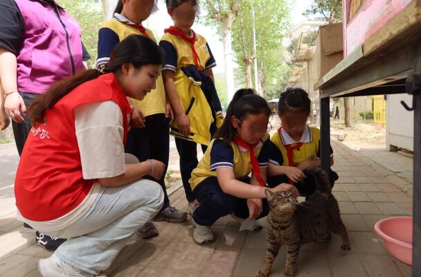 融媒·画像丨“幼吾幼以及人之幼”的当代诠释——三百“织梦人”