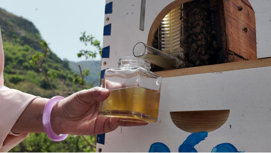 融媒·见证丨春日里，赴一场人才之约——原乡人·返乡人·新乡人