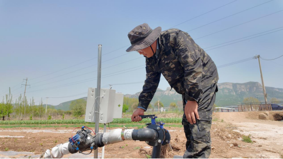 融媒·见证丨春日里，赴一场人才之约——原乡人·返乡人·新乡人