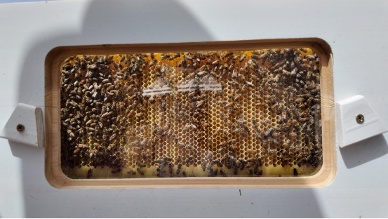 融媒·见证丨春日里，赴一场人才之约——原乡人·返乡人·新乡人