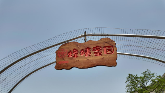 融媒·见证丨春日里，赴一场人才之约——原乡人·返乡人·新乡人