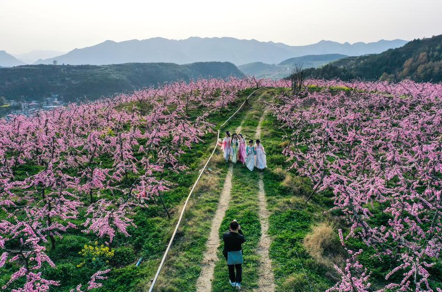 꽃밭에 펼쳐진 훠궈 야장...'봄 특수' 겨냥한 중국의 기발한 아이디어들