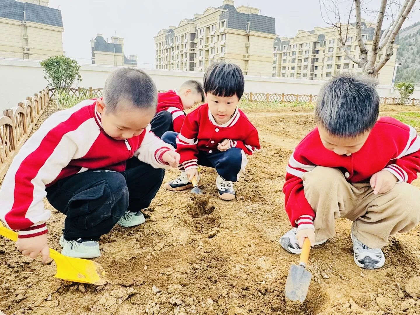 放下手机，让我们和地球说说话~