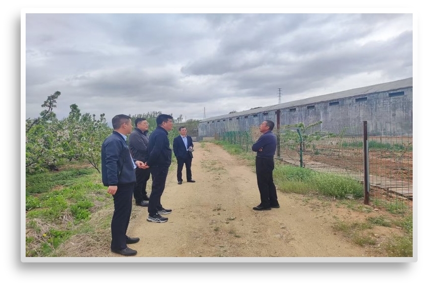 烟台银行业：普惠金融多元赋能 绘就高质量发展新画卷