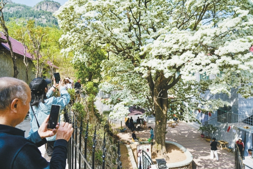 济南文旅消费新时尚 乡村火了“微度假”