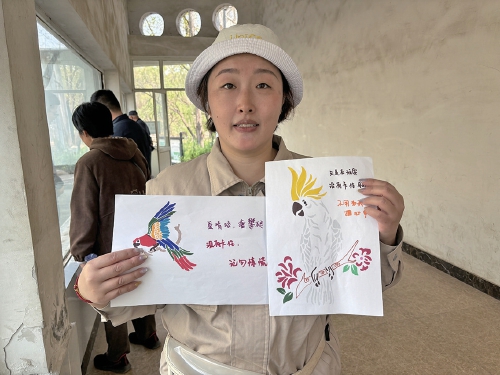 8年相伴　她用画笔讲述鸟儿的故事