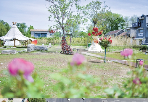 一年四季 泉在济南｜济南老城精心装饰美颜 “莫奈花园”提前向游客开放