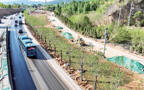 港九路北首打造花海景观