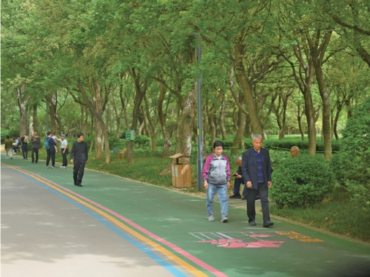 济南“万米公园智慧健身步道”样板段正式启用