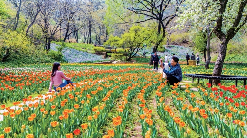 预报济南今天最低气温8℃，最高28℃！温差较大，早晚注意添衣