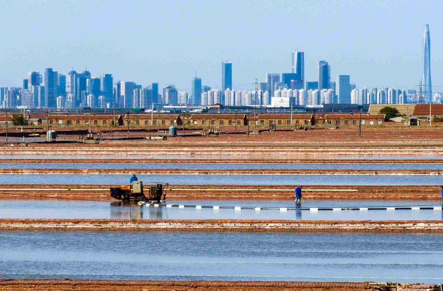 中 톈진, 봄철 소금 수확 작업이 한창