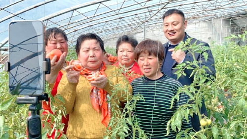 直播赋能乡村振兴让流量变销量