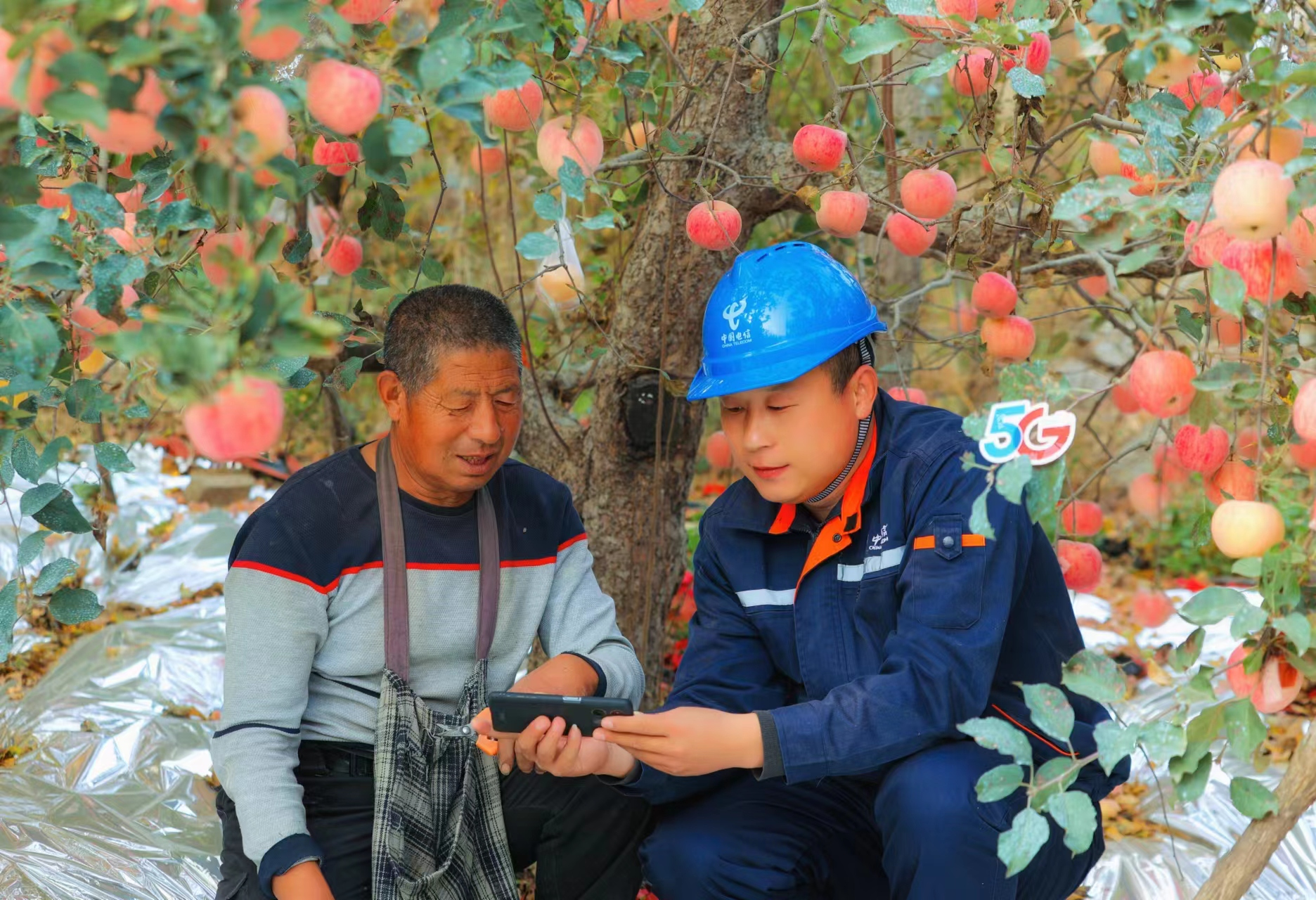 中国电信山东公司：数字基座赋能乡村振兴，“点亮”农村5G全新未来