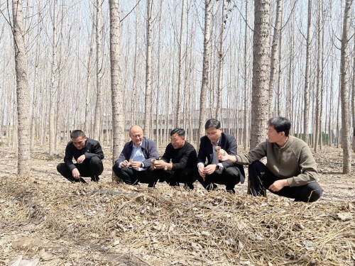 芬芳乡村路 不了黄土情——记商河县玉皇庙镇埃子李村第一书记王光华的乡村振兴之路