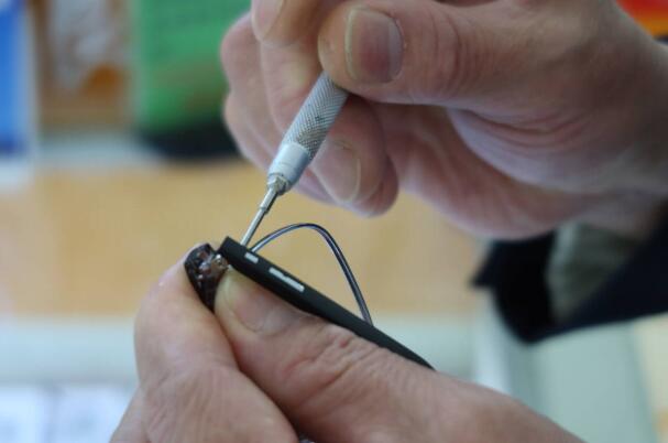 融媒·先锋｜“三色光谱”映初心