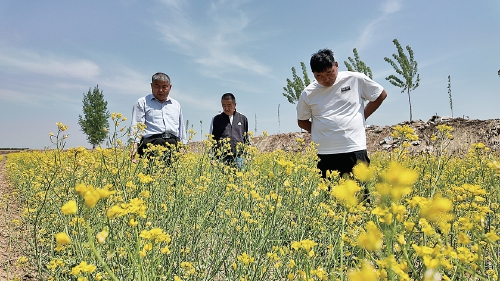 融媒·见证丨“土地里刨食儿”的村庄咋转型？村书记变身新农人