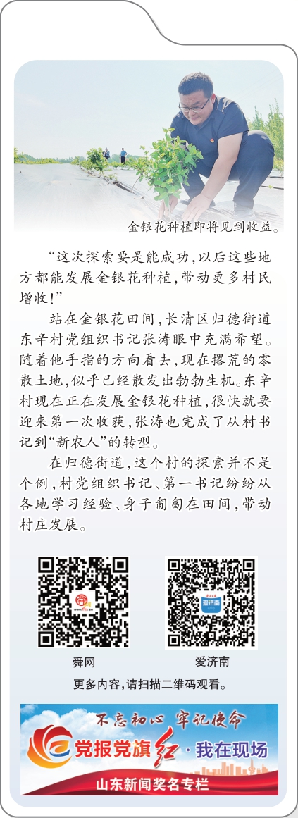 融媒·见证丨“土地里刨食儿”的村庄咋转型？村书记变身新农人