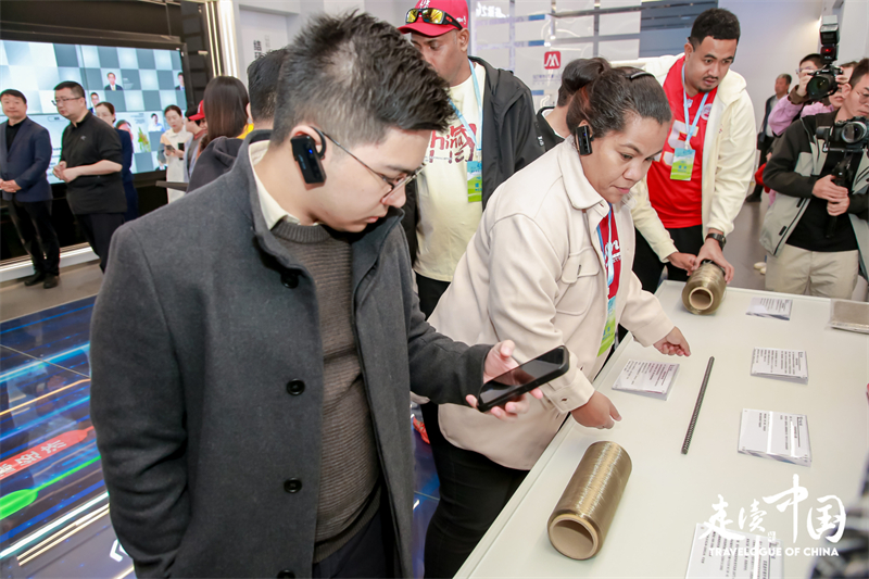 外媒观察：“草原云谷”绿电驱动算力是科技与自然共生的典范