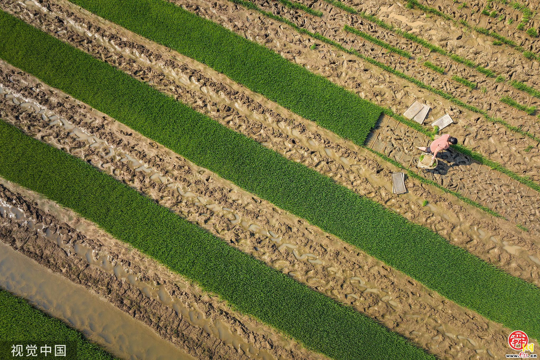 济南将改造提升农资经营网点50个以上