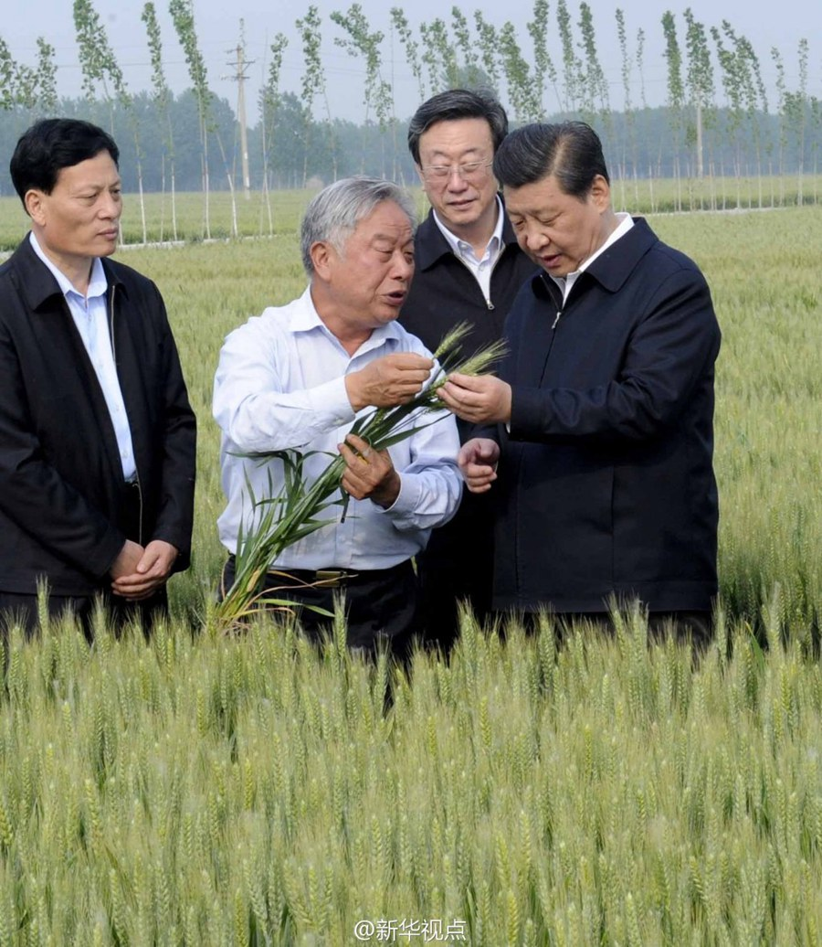 学习进行时|是贡献,也是奉献——习近平总书记和河南的故事