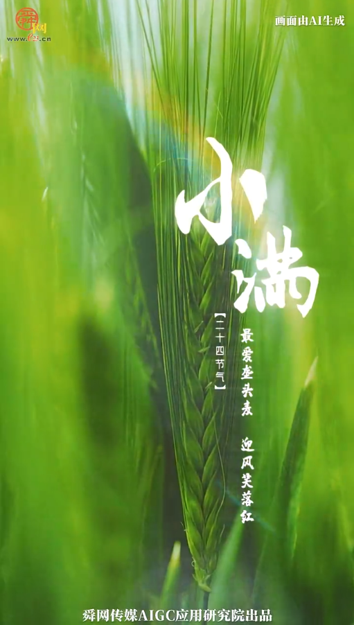 二十四节气 小满