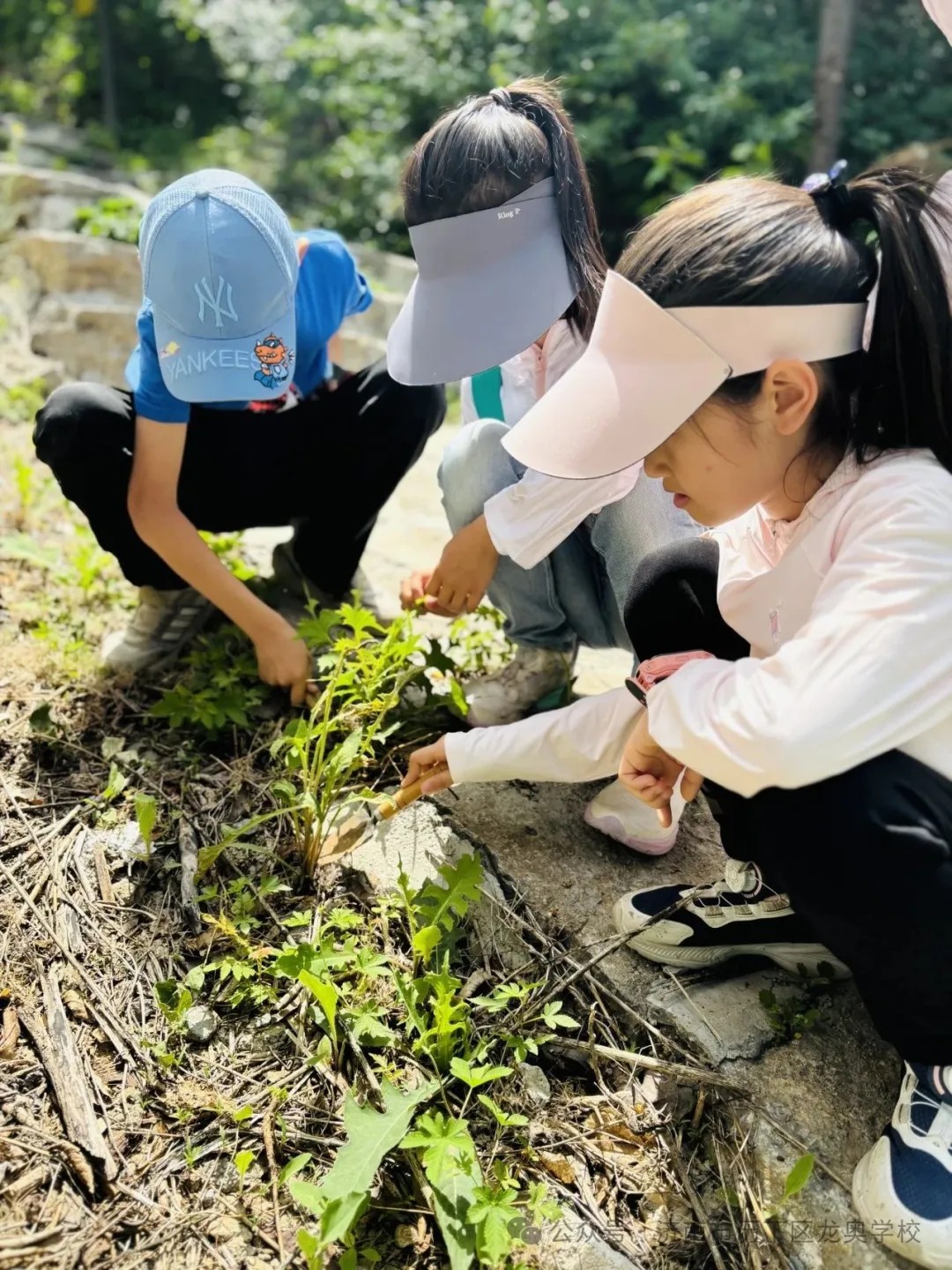 济南市历下区龙奥学校开展“小得盈满，自在欢喜”二十四节气之小满活动