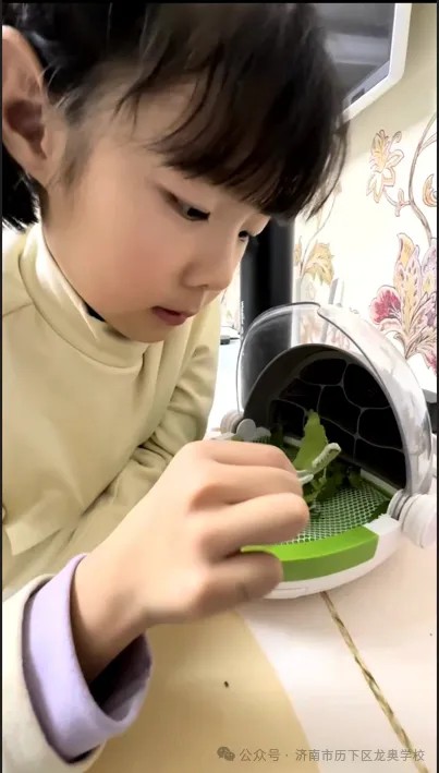 济南市历下区龙奥学校开展“小得盈满，自在欢喜”二十四节气之小满活动