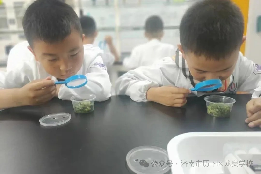 济南市历下区龙奥学校开展“小得盈满，自在欢喜”二十四节气之小满活动