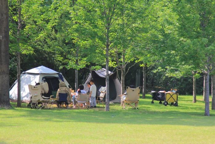 周末两天济南天气有点凉最低12℃！下周一起，气温重回30℃+