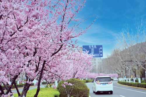 济南本周气温逐渐回升，今日最高30℃