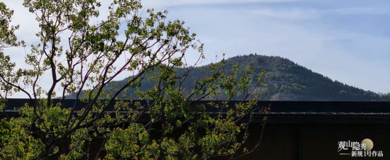 25天2.8 亿！观山隐秀