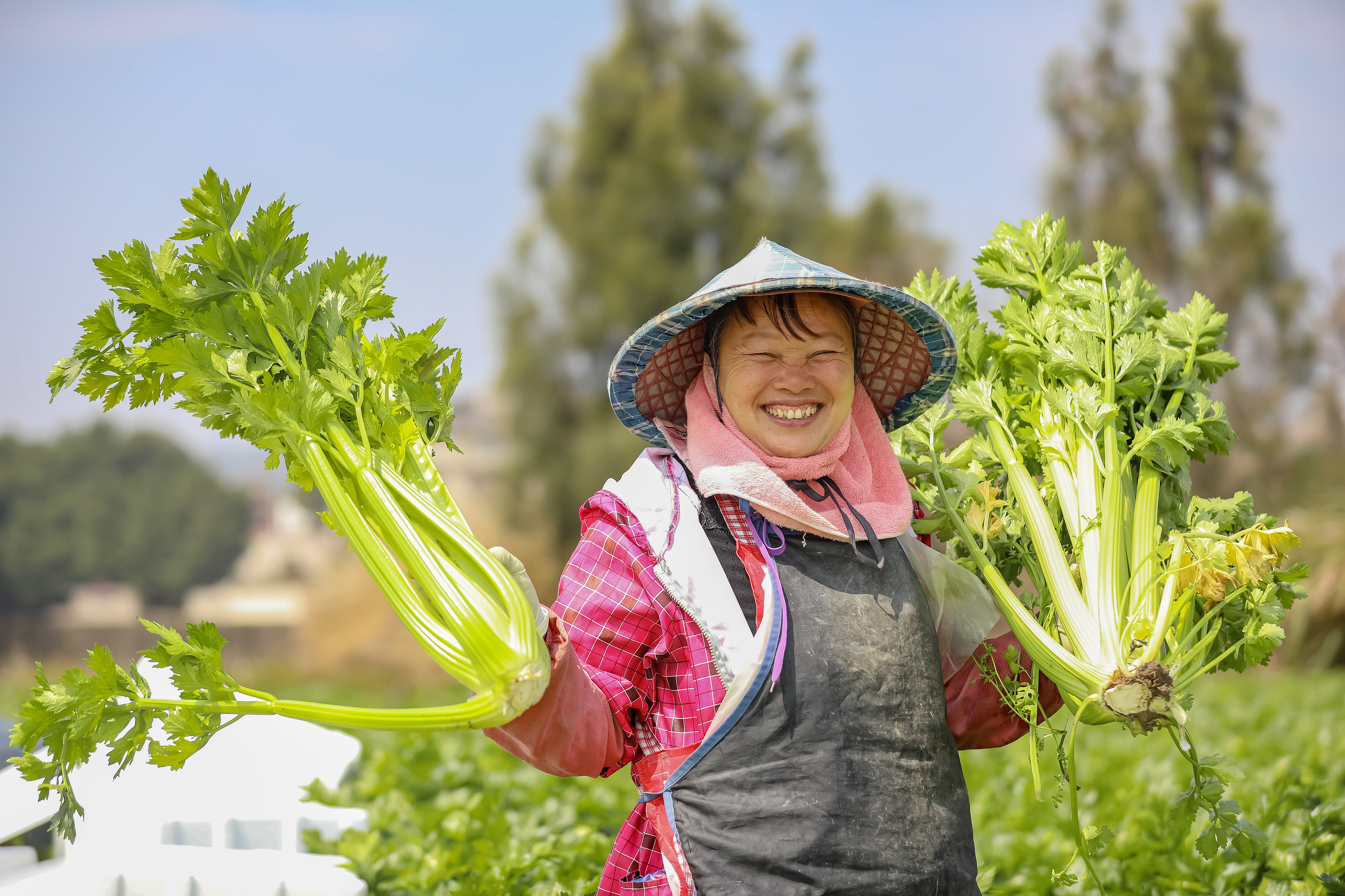 AI时政画报｜大农业的路子宽又阔