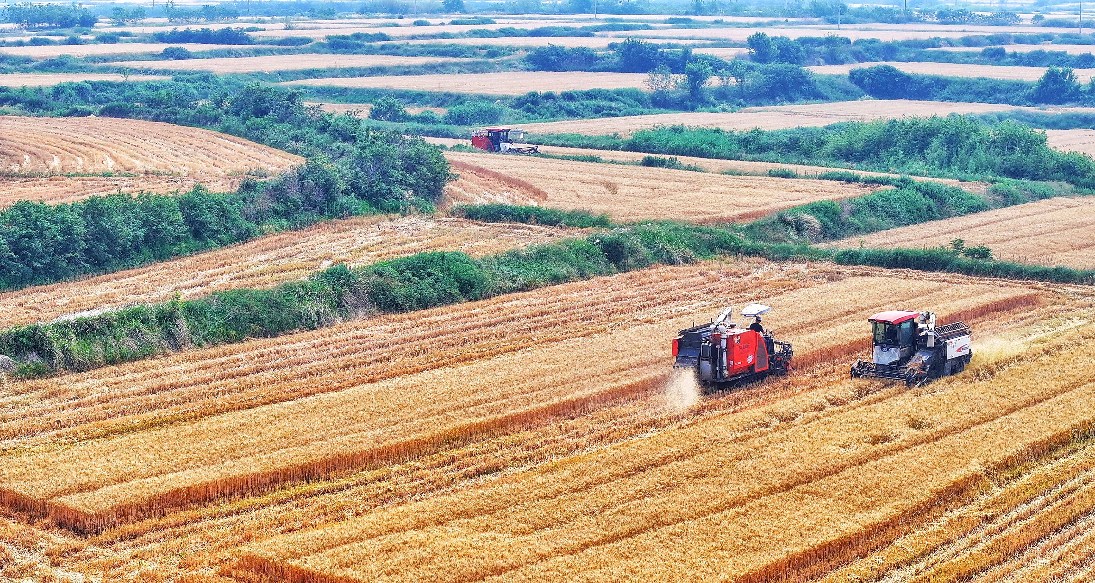 AI时政画报｜大农业的路子宽又阔