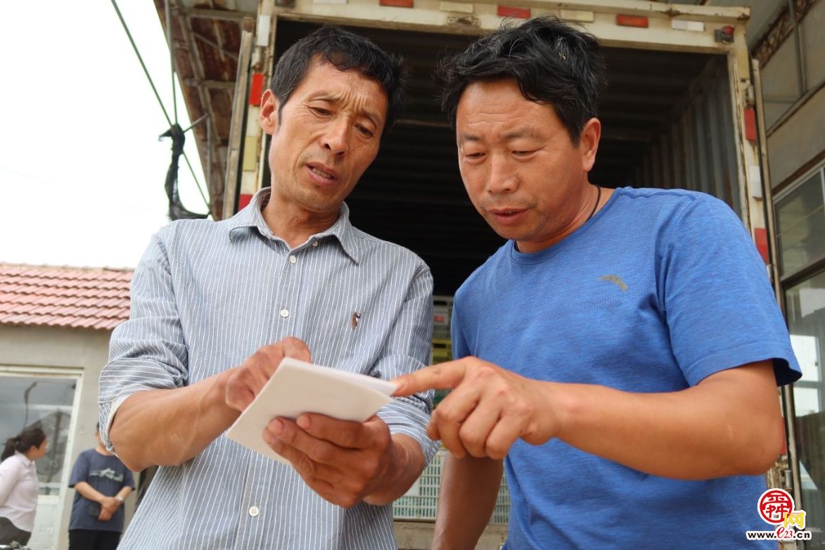 融媒·画像丨昔日骑自行车卖菜的哥俩，如今智慧大棚里种菜的专家——“菜农”新传