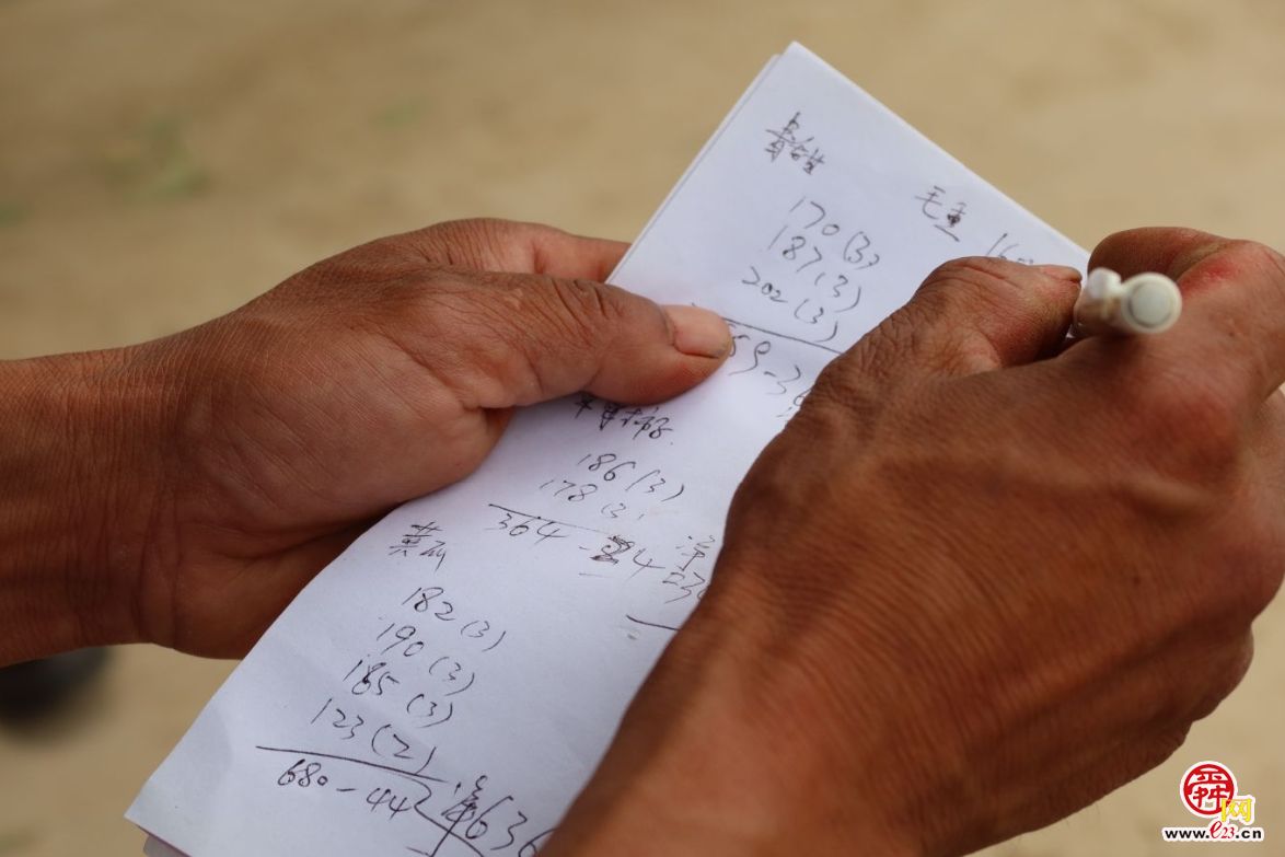 融媒·画像丨昔日骑自行车卖菜的哥俩，如今智慧大棚里种菜的专家——“菜农”新传