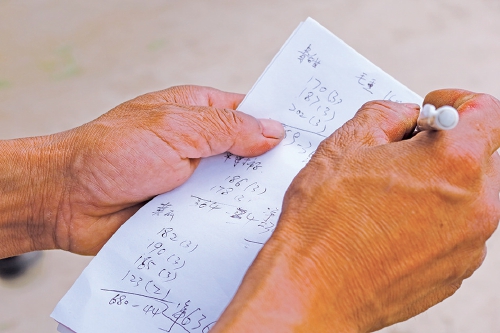 融媒·画像丨昔日骑自行车卖菜的哥俩，如今智慧大棚里种菜的专家——菜农新传