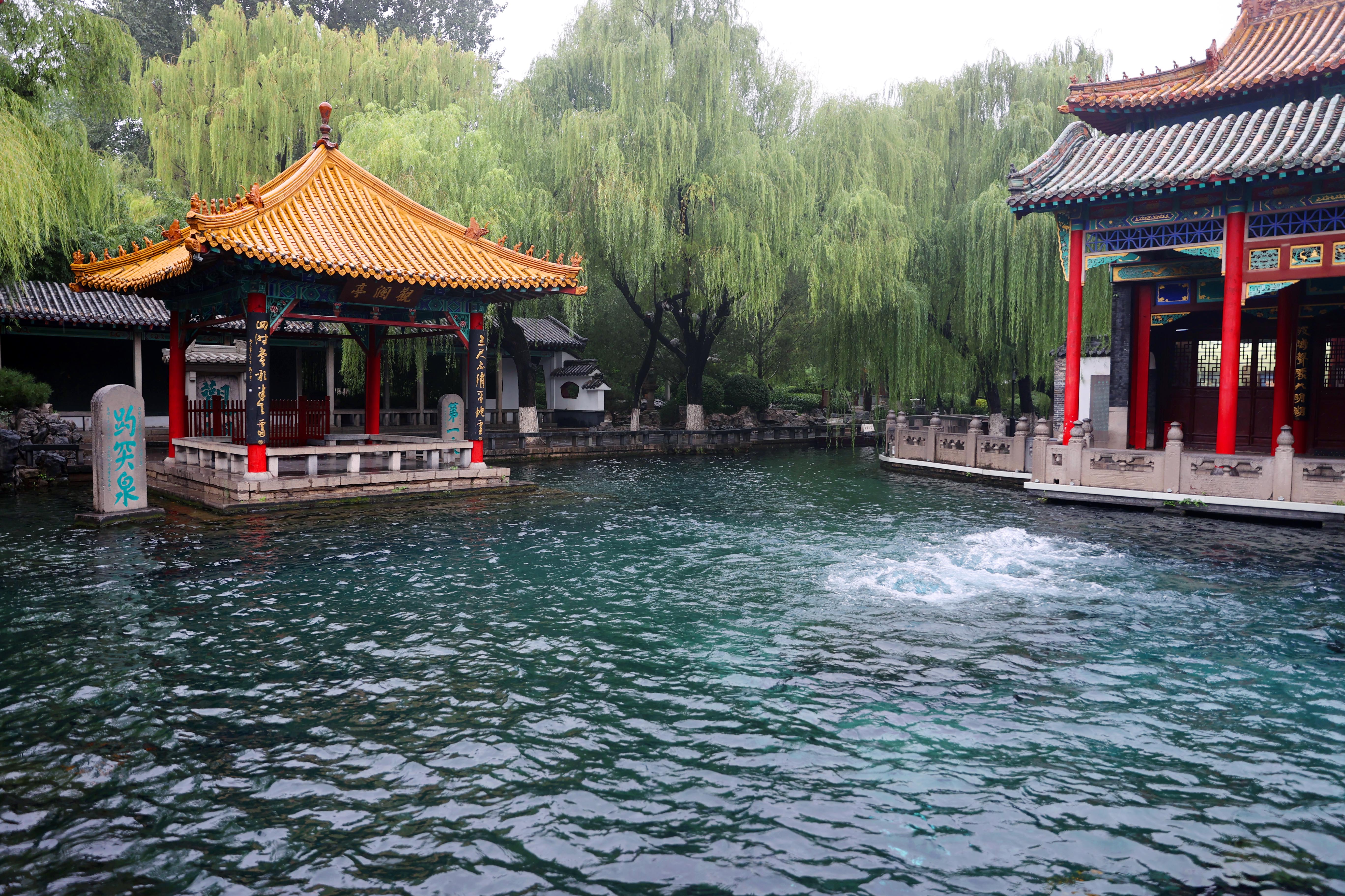 同比增长42.67%，今年济南端午“有点热”