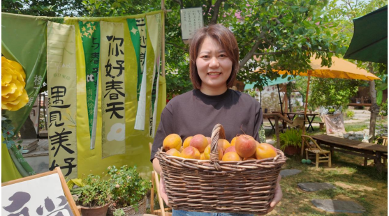 融媒·见证丨杏子熟了，返乡创业的他们更忙了——小院儿“带货”