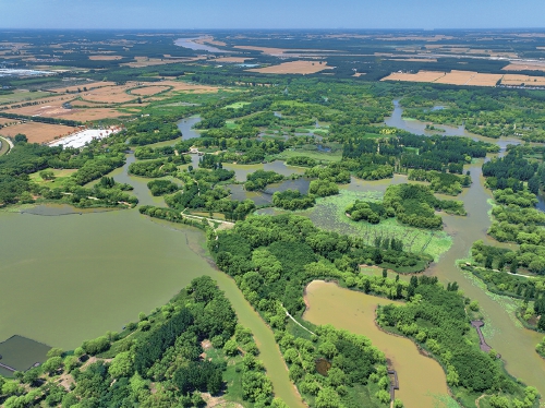 2024年生态环境状况成绩单公布 山东PM2.5浓度创有监测记录以来最好水平