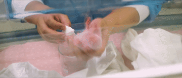 习近平与外国友人的故事｜花开满树情常在