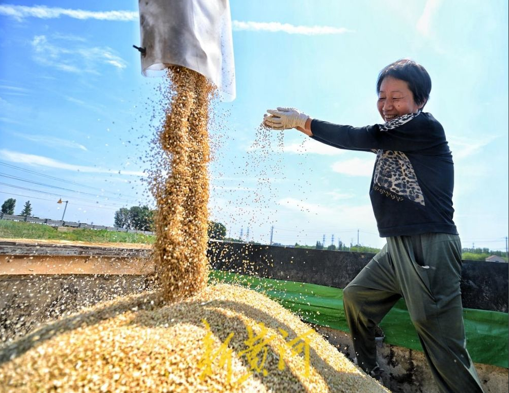从奔走到守望，他们见证麦田的时代变迁——济南麦客夫妻的27载麦收路