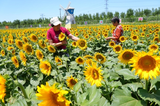融媒·见证丨短短4年，从“省级贫困村”到“全国文明村”——“牛王”之变