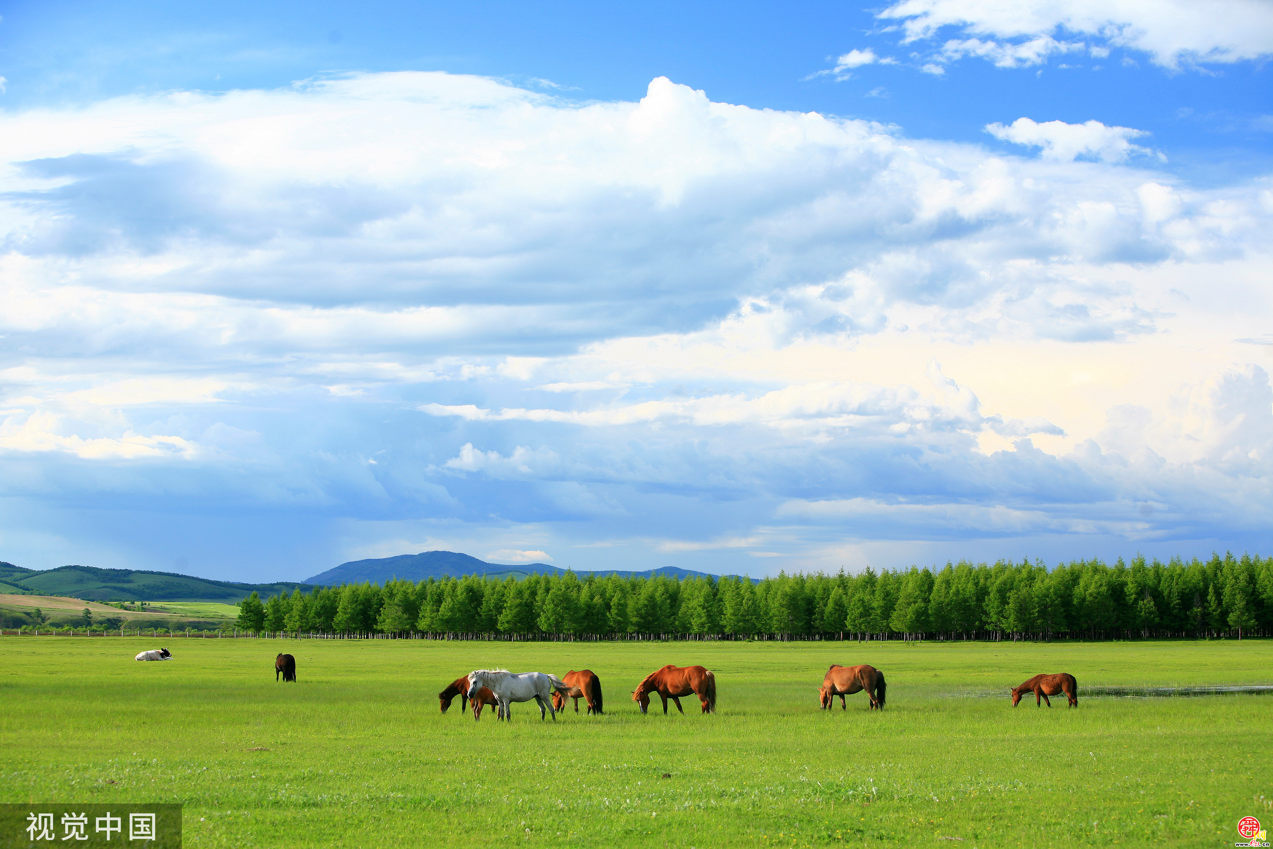 毕业去旅行！品质化与特色游成新风尚