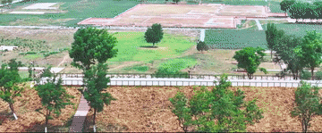 总书记关心的世界文化遗产|万里丝路颂长歌