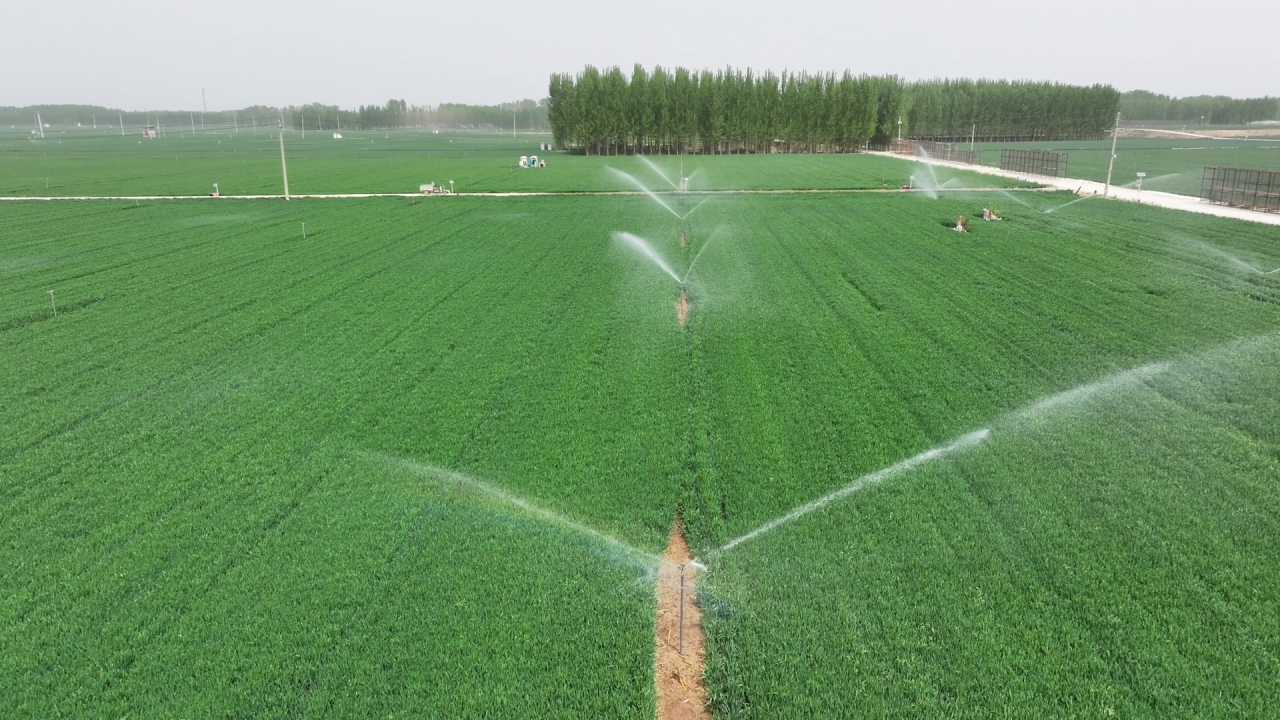 融媒·画像丨粮田“父子兵”：“钢铁机甲”列阵，“数字军团”作业