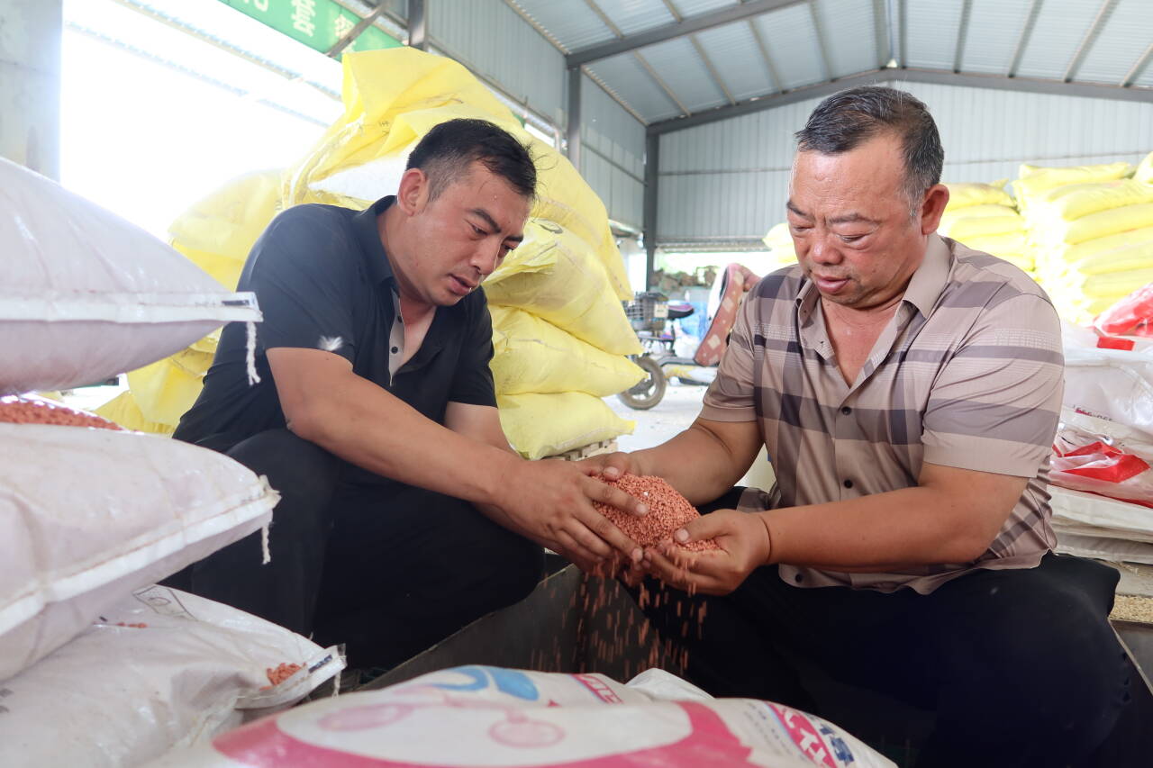 融媒·画像丨粮田“父子兵”：“钢铁机甲”列阵，“数字军团”作业