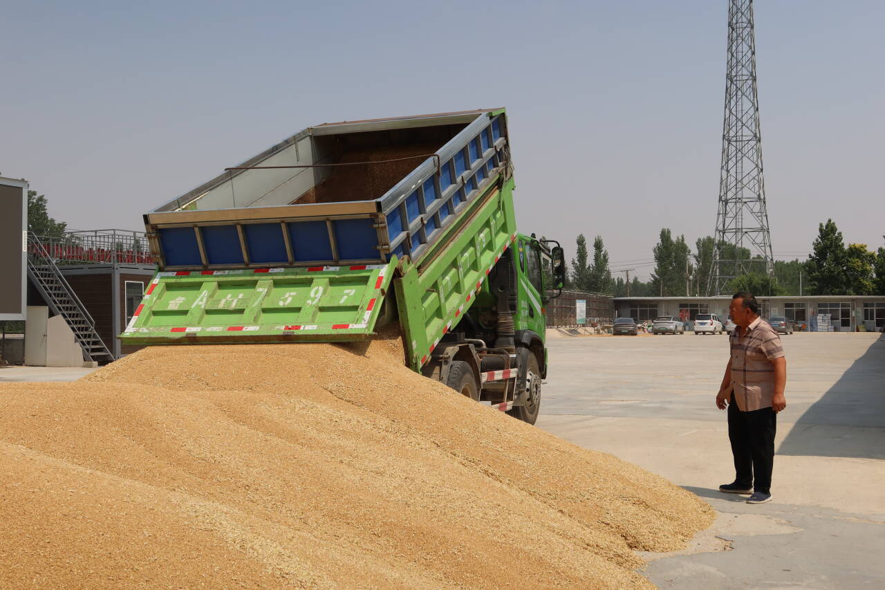 融媒·画像丨粮田“父子兵”：“钢铁机甲”列阵，“数字军团”作业
